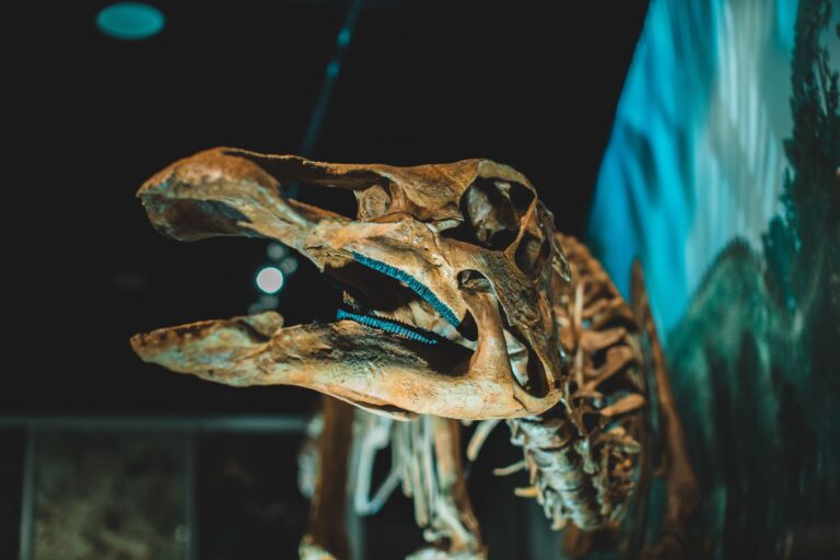 Les dinosaures et leurs fossiles intrigants