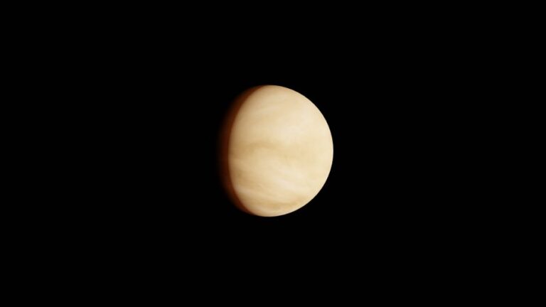Vie microscopique dans les nuages de Vénus