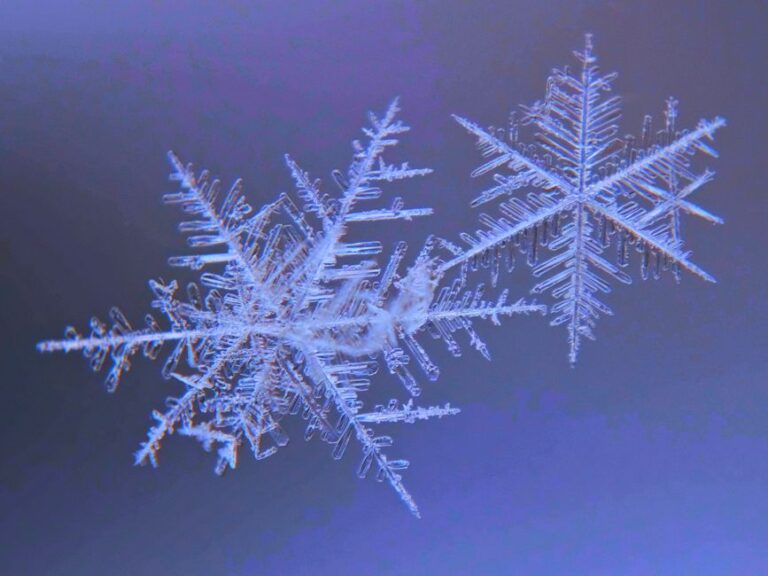 Les cristaux de neige : une symétrie unique