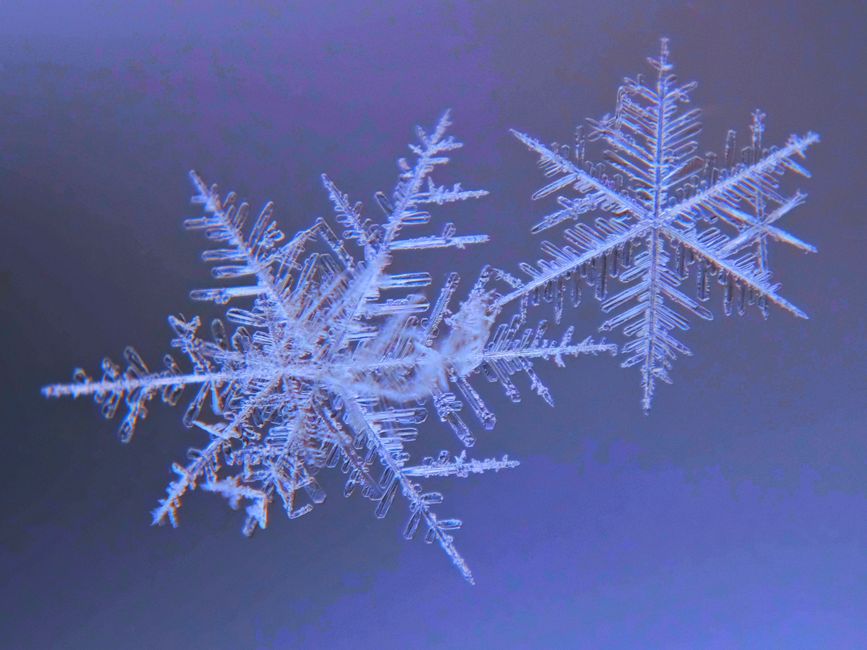 Les cristaux de neige : une symétrie unique