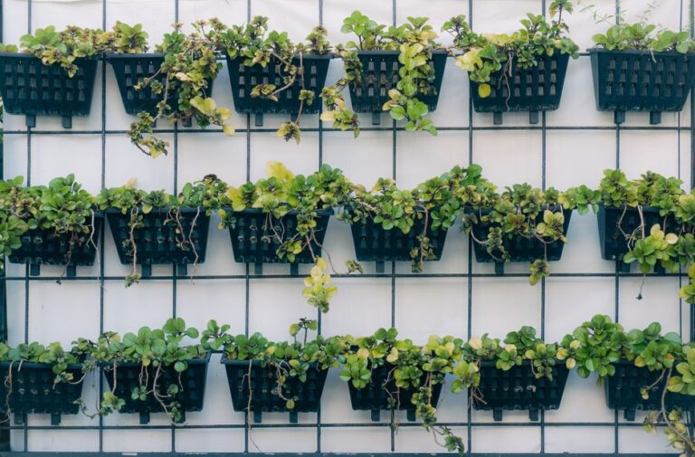 Technologies étonnantes en agriculture urbaine