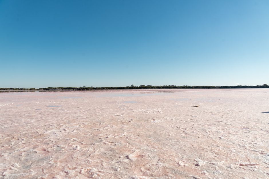 Les lacs roses et les micro-organismes